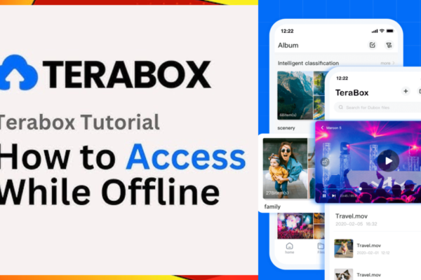 how to access terabox offline